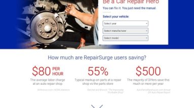 RepairSurge On-line Auto Repair Manuals